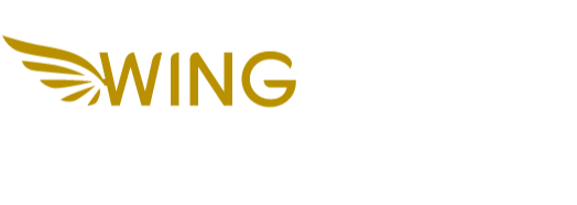 Birch Goose Logo